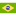 Portugués